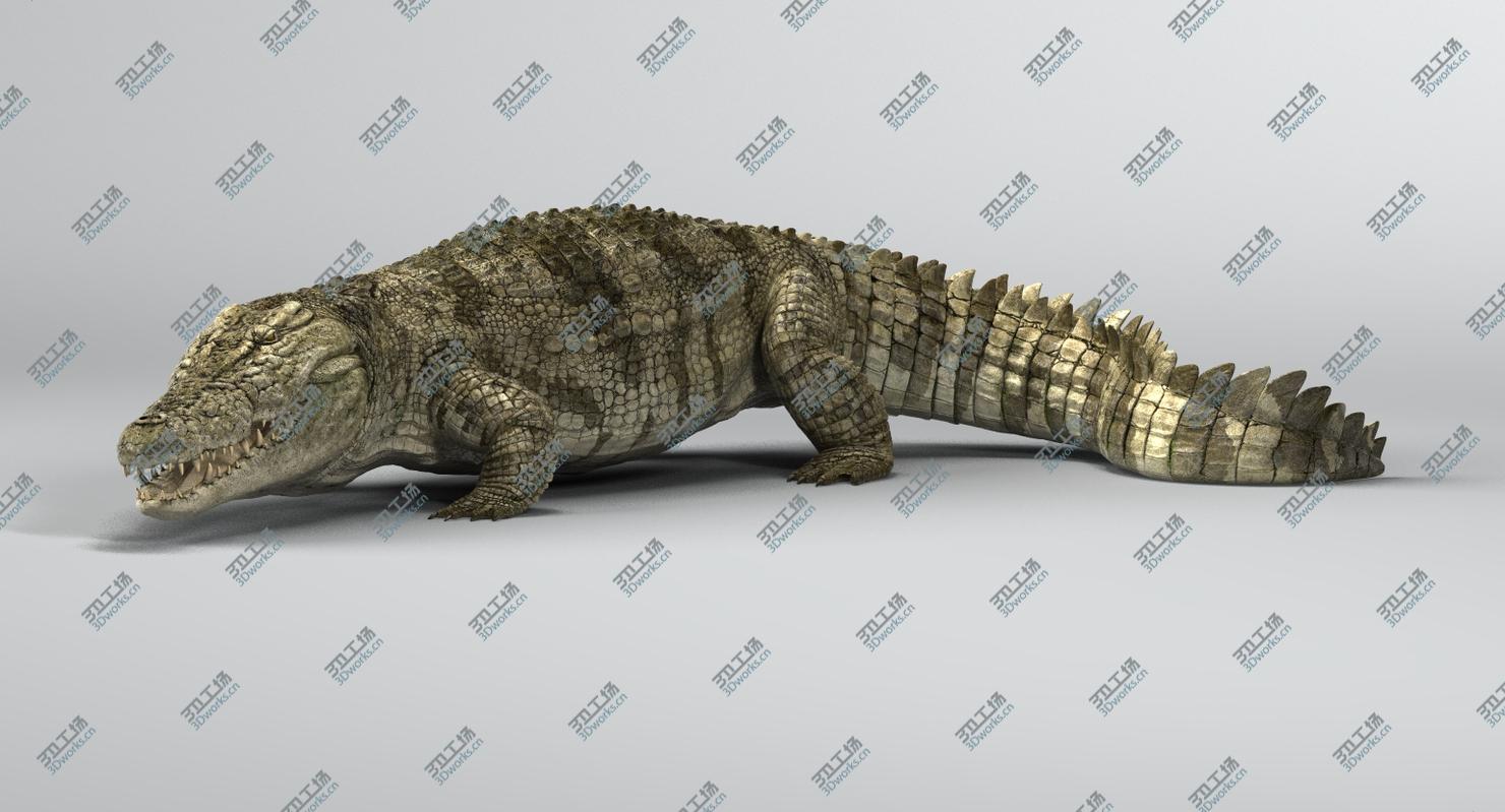 images/goods_img/2021040234/Crocodile Rigged 3D/5.jpg